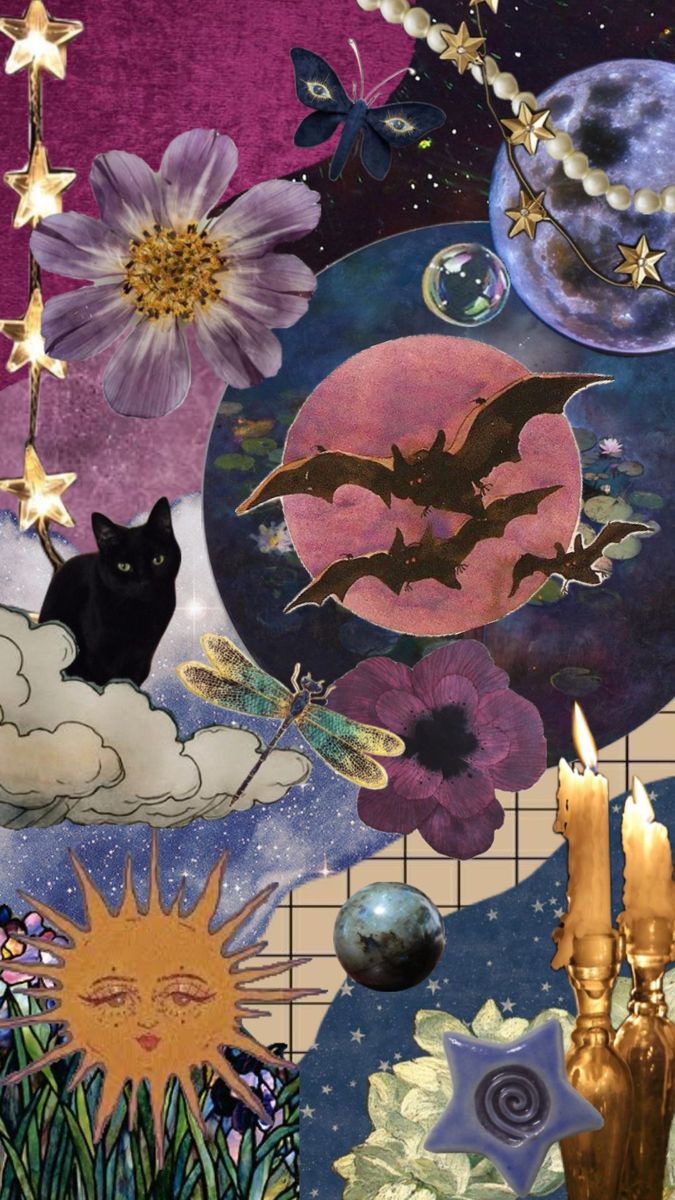Midnight Bloom